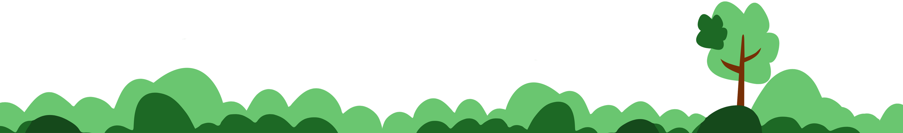 Lush forest background